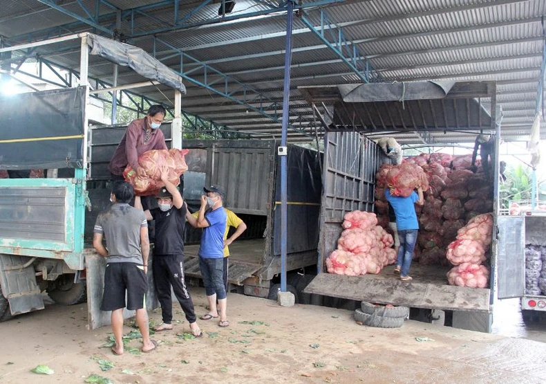 Lâm Đồng hỗ trợ TP Hồ Chí Minh 200 tấn nông sản mỗi ngày -0