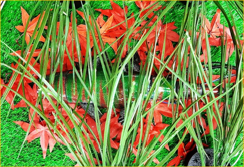Hàn Quốc chế tạo thành công da nhân tạo đổi màu giống tắc kè hoa -0