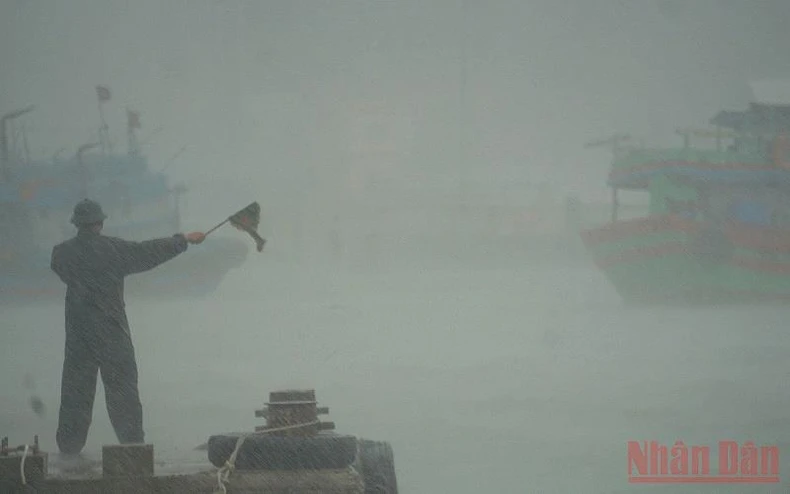 Đà Nẵng kiểm soát chặt chẽ việc ngư dân vào tránh trú bão tại âu thuyền Thọ Quang -0