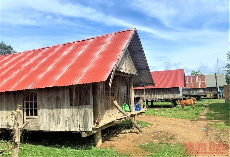 Thơ mộng hồ Lắk giữa đại ngàn Tây Nguyên -0
