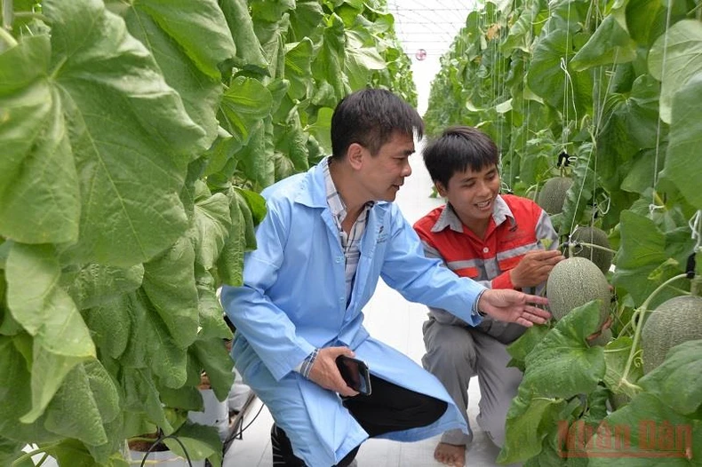 Đẩy mạnh chuyển đổi số trong xây dựng nông thôn mới -0