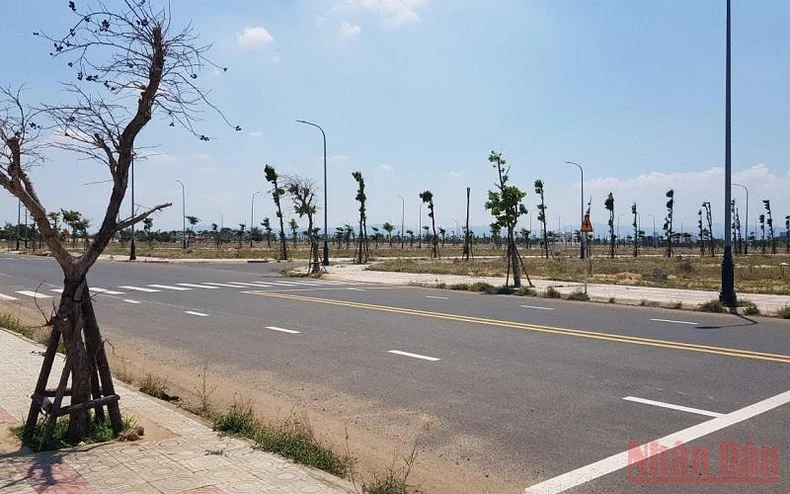 Khởi tố, bắt tạm giam đối tượng trúng đấu giá mua sỉ 262 lô đất tại Phú Yên vì tội trốn thuế -0