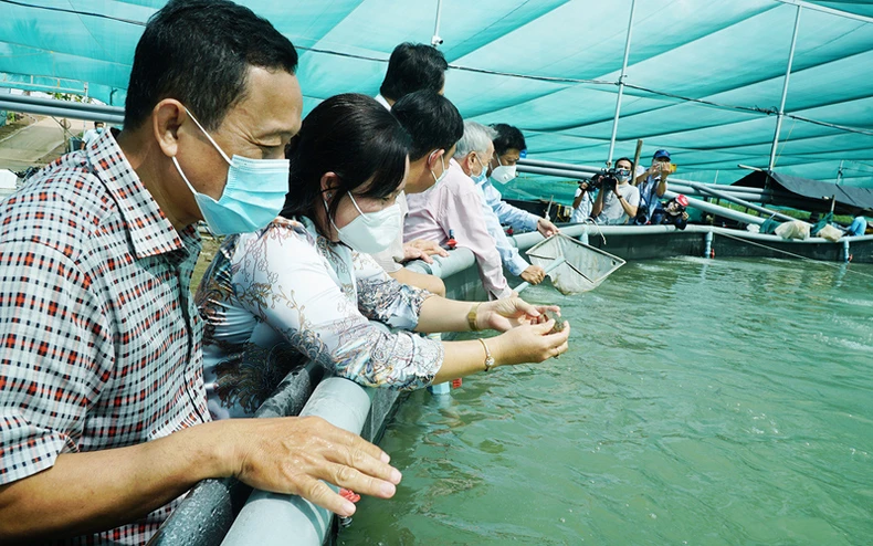 Sóc Trăng áp dụng cơ chế “Thích ứng, an toàn, linh hoạt, kiểm soát hiệu quả dịch Covid-19” -0
