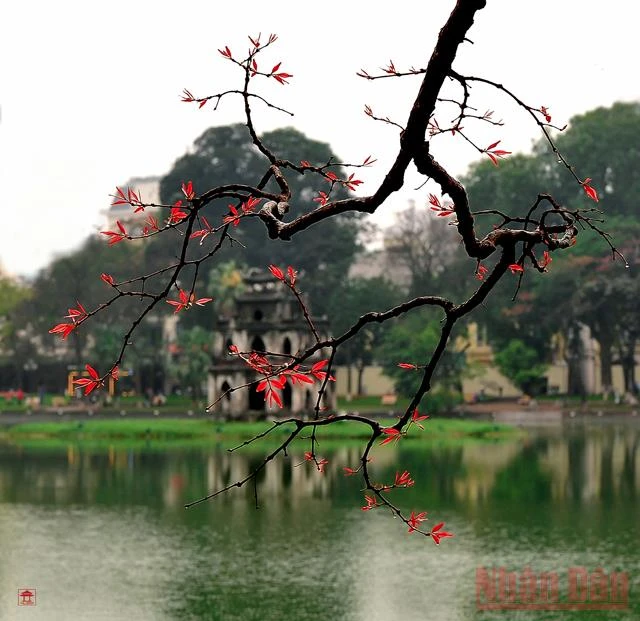 Triển lãm “Hồ Gươm, giao lộ Đông – Tây” -0
