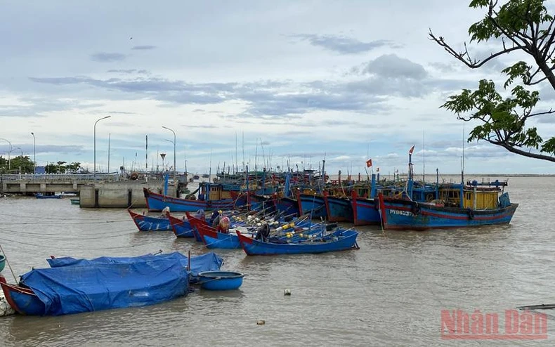 Bình Định, Phú Yên khẩn trương kêu gọi tàu thuyền di chuyển khỏi vùng nguy hiểm -0