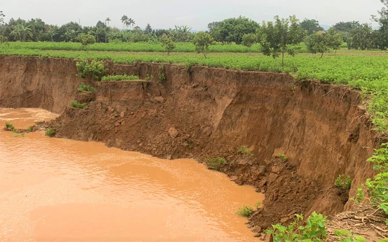 Lợi dụng dịch bệnh, khai thác cát trái phép trên sông Đồng Nai -0