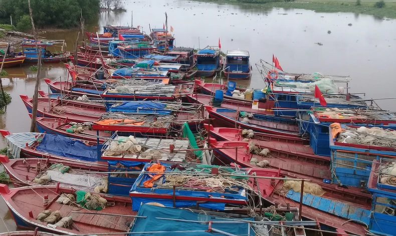 Hải Phòng cấm biển để phòng, chống bão số 7 -0