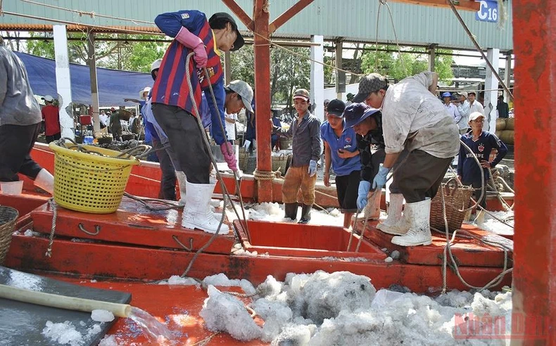 Kiên Giang gỡ khó cho hoạt động khai thác và chế biến thủy sản -0