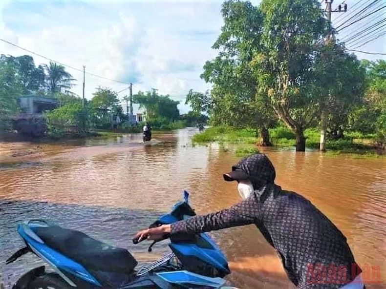 Mưa lũ gây nhiều thiệt hại trên địa bàn huyện biên giới Ea Súp -0