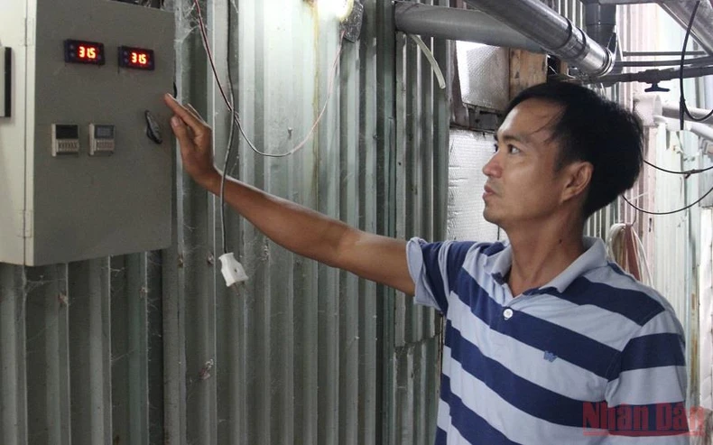 Trồng nấm rơm công nghệ cao ổn định mùa dịch -0