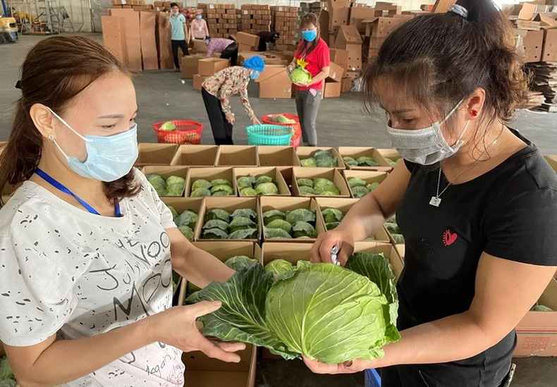 Hải Dương hỗ trợ người lao động bị ảnh hưởng dịch Covid-19 -0