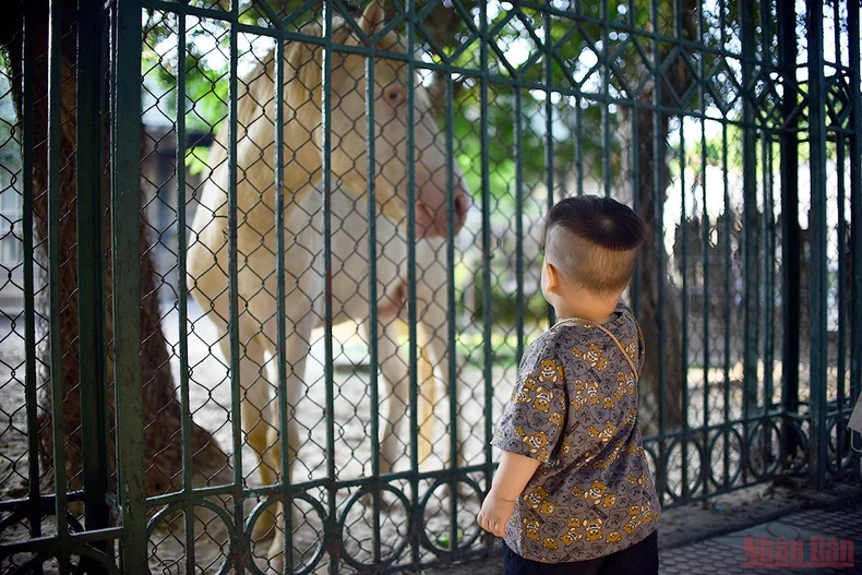 Bé vui khám phá thiên nhiên tại công viên Thủ Lệ sau giãn cách -0