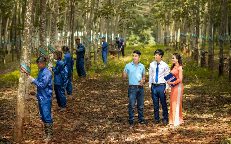 Đầu tư nông nghiệp - mắt xích thúc đẩy phục hồi kinh tế -0