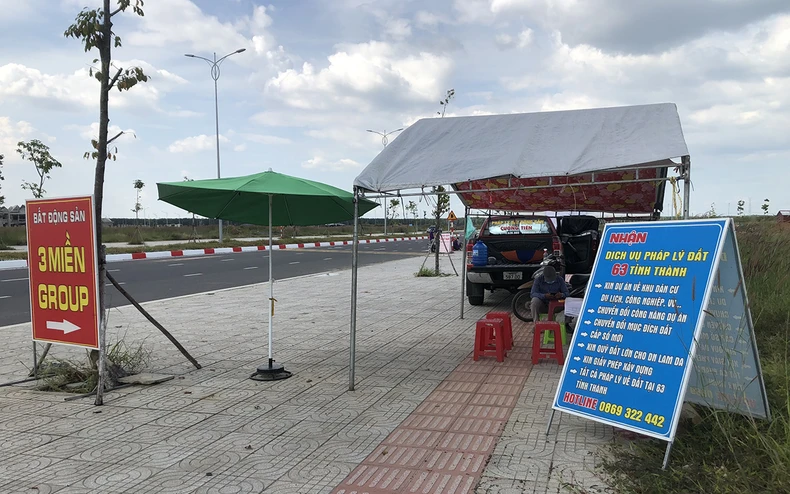 “Cò” đất tung hoành trong khu tái định cư sân bay Long Thành -0