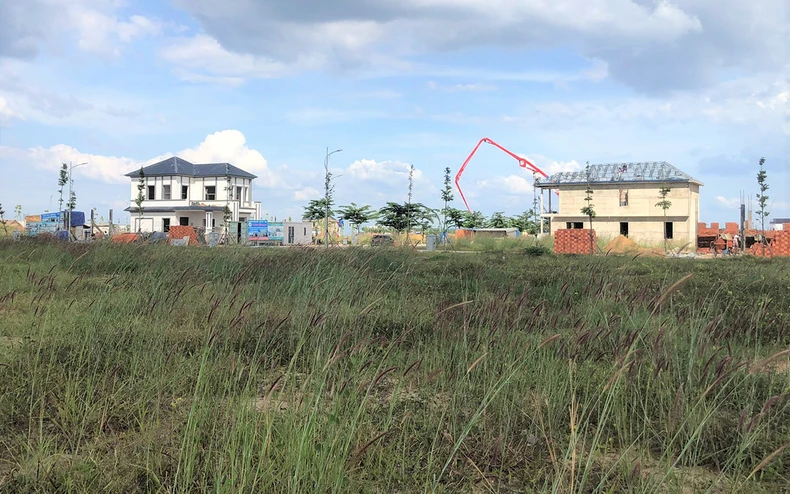 “Cò” đất tung hoành trong khu tái định cư sân bay Long Thành -0