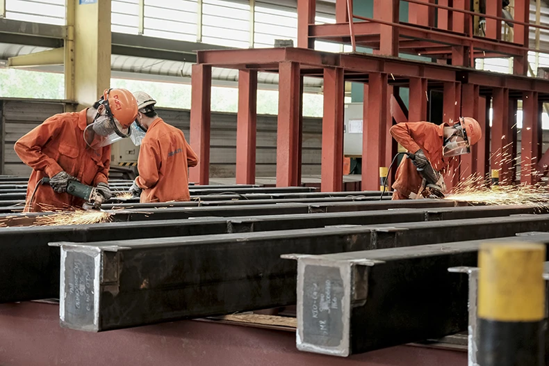 Tọa đàm trực tuyến về giải pháp hỗ trợ, ổn định thị trường lao động trong bối cảnh đại dịch -0