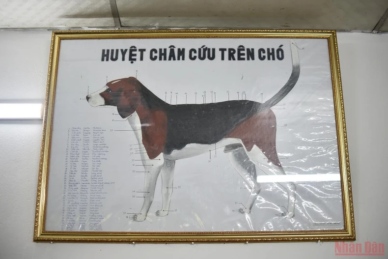 Những