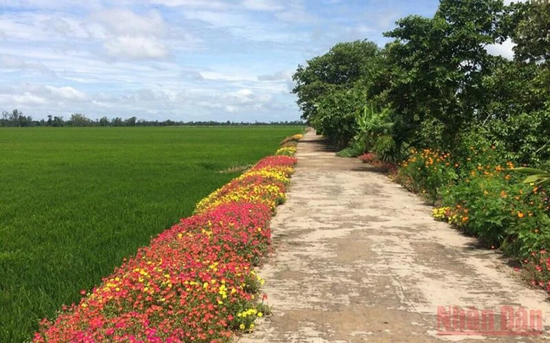 Khát vọng xây dựng nông thôn mới nâng cao ở Tháp Mười -0