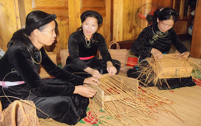 Chuyển hướng đào tạo nghề lao động nông thôn ở Tuyên Quang -0