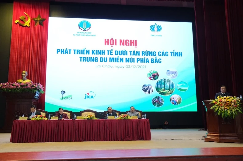 Vẫn còn nhiều khó khăn trong phát triển kinh tế dưới tán rừng -0