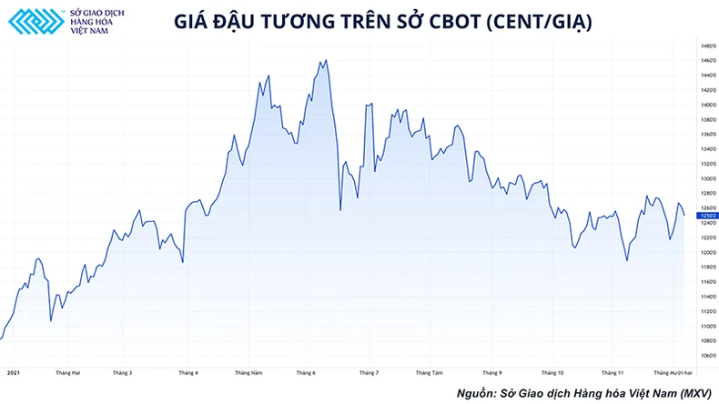 “Miếng bánh” xuất khẩu đậu tương vào Trung Quốc đanh bị giành giật, Mỹ phong độ giảm sút -0