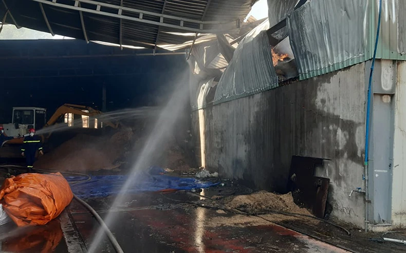 Điều tra vụ cháy lớn tại công ty chế biến gỗ ở Đồng Nai -0