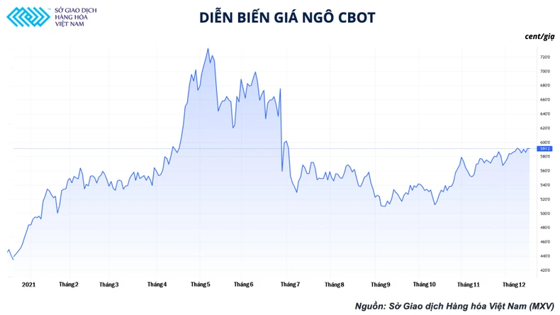 Doanh nghiệp chăn nuôi chưa hết lao đao, nguy cơ giá nông sản lại sắp bước vào một đợt tăng mới? -0