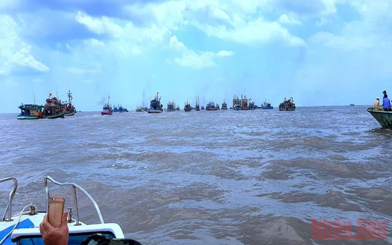 Cà Mau kêu gọi tàu thuyền vào nơi tránh, trú bão an toàn -0