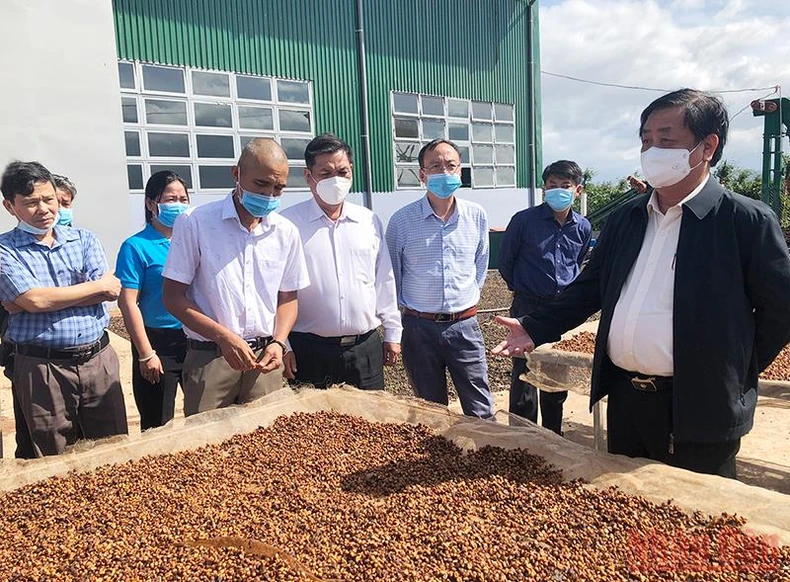 “Ngành hàng cà-phê Việt Nam muốn đi xa phải đi cùng nhau…” -0
