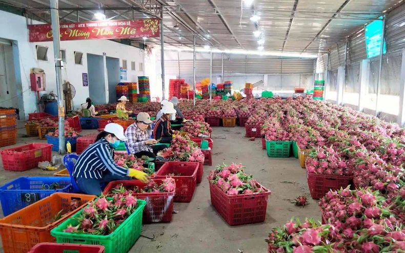 10 sự kiện khoa học và công nghệ nổi bật năm 2021 -0