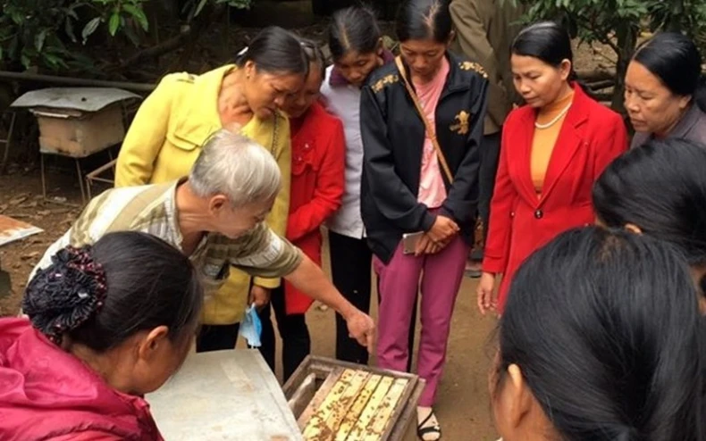 Tăng cường tham gia của người khuyết tật vào công tác phòng, chống thiên tai -0