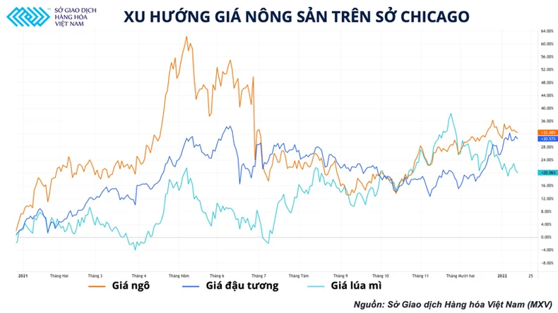 Áp lực từ nguồn cung nông sản Nam Mỹ đang hiện rõ trong báo cáo của Bộ Nông nghiệp Mỹ -0