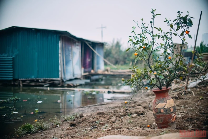 Những ngày cận Tết ở “xóm nhà phao” -0