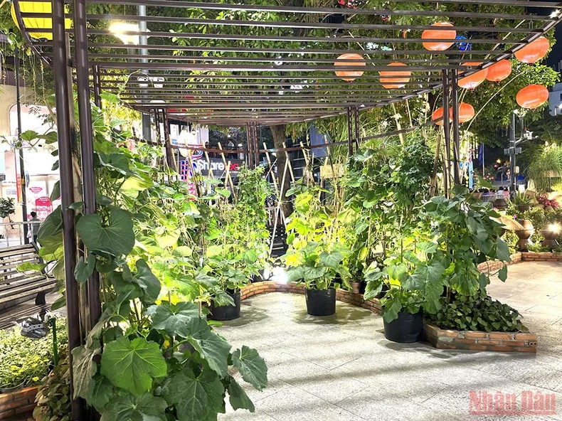 Đường hoa Nguyễn Huệ Tết Nhâm Dần 2022 chính thức mở cửa phục vụ người dân -0