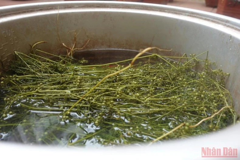 Mùi của Tết -0