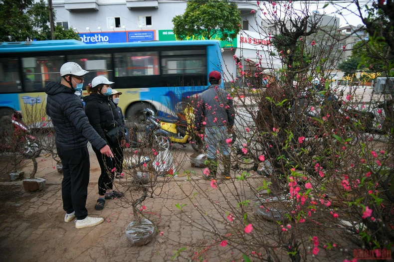 Những khoảng khắc ngày cuối năm -0