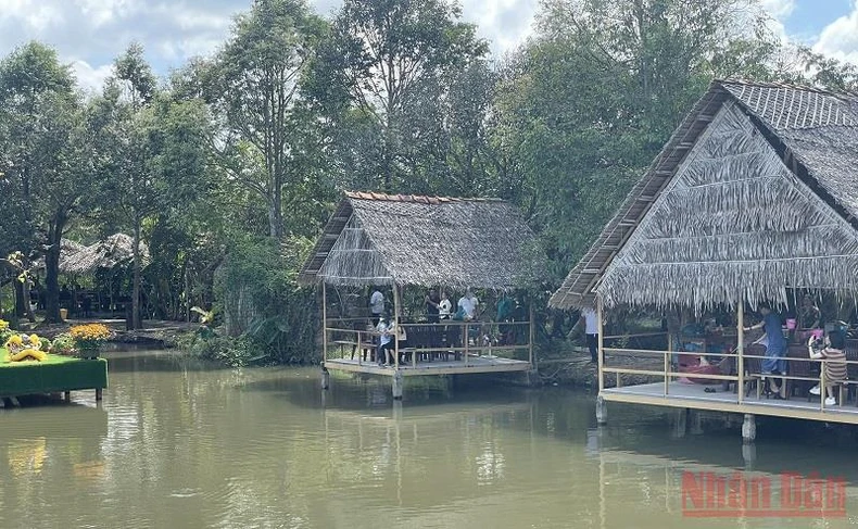 Khách thích thú du Xuân miệt vườn Cần Thơ -0