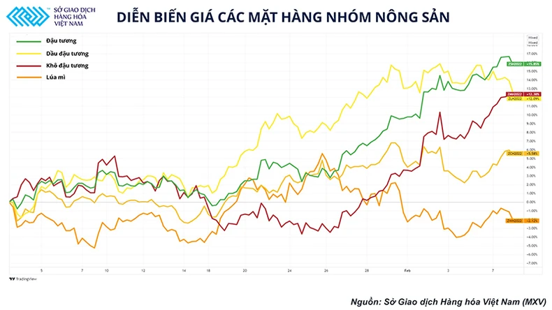 Báo cáo cung-cầu không đạt được kỳ vọng, thị trường nông sản đang dần chuyển mối quan tâm sang mùa vụ tại Mỹ -0