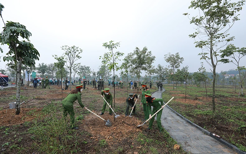 Phát triển kinh tế lâm nghiệp bền vững -0