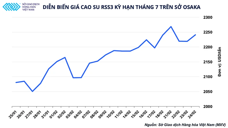 Động lực nào đưa giá cao-su tiếp tục lên ngôi vào năm 2022? -0