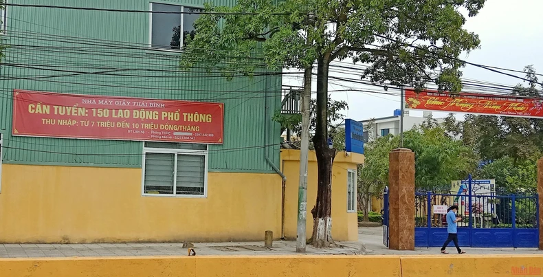 Thái Bình khan hiếm lao động ngành dệt may, da giày -0