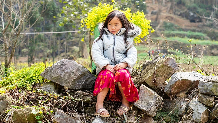 Xuân muộn Hà Giang -0