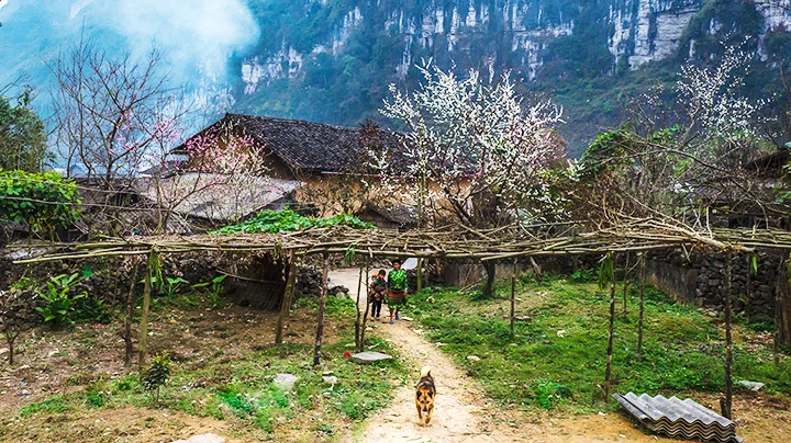 Xuân muộn Hà Giang -0