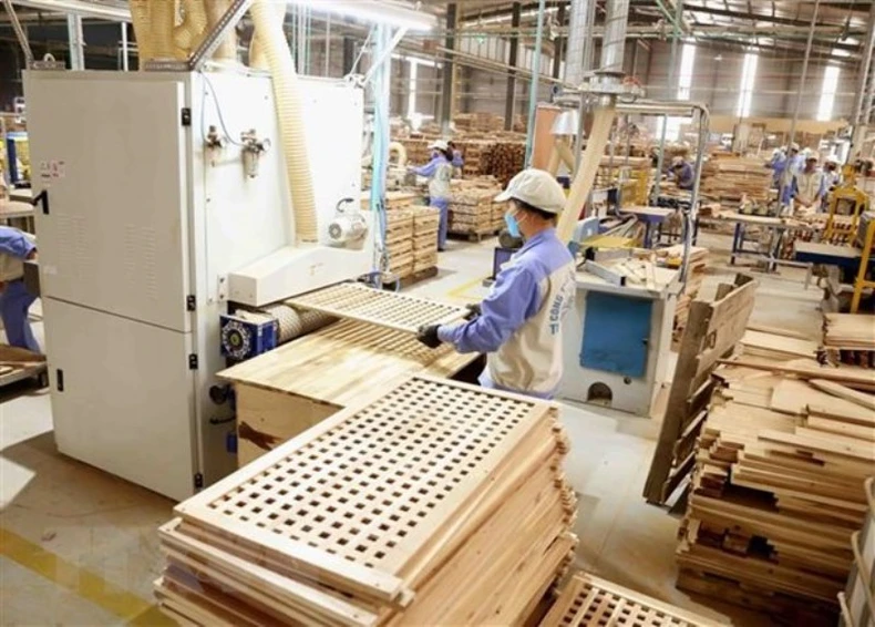 Việt Nam-Luxembourg thúc đẩy quan hệ thương mại và đầu tư -0