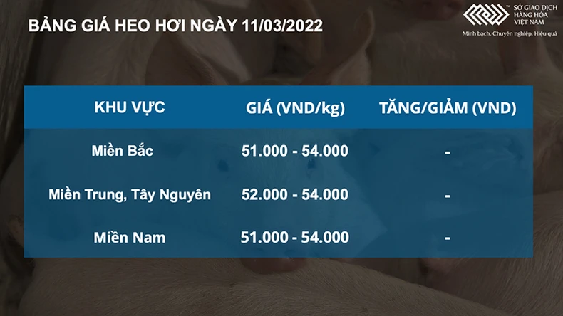 giá heo hơi.jpg -0