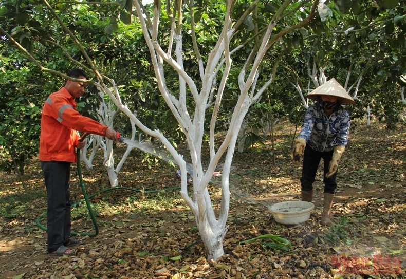 Sơn La tìm giải pháp đẩy mạnh tiêu thụ nông sản -0