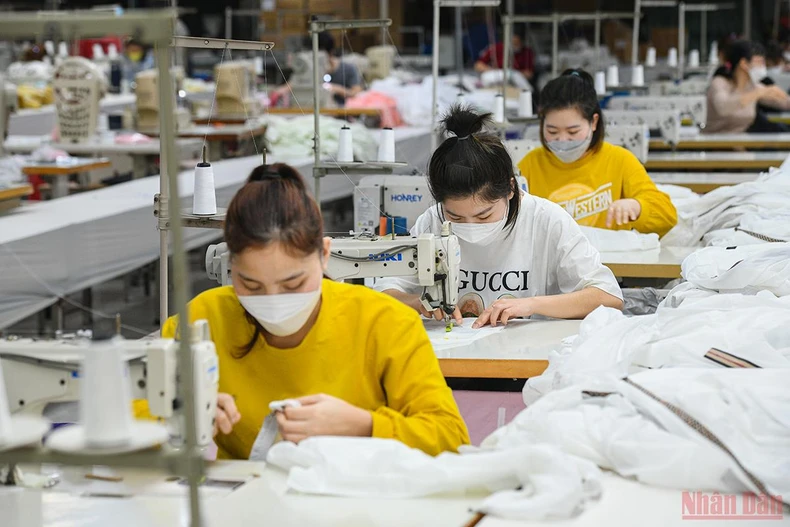 Các doanh nghiệp trong nước nỗ lực vượt khó, tăng đà phục hồi -0