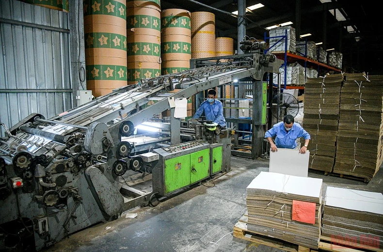 Các doanh nghiệp trong nước nỗ lực vượt khó, tăng đà phục hồi -0