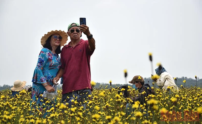 Đánh thức Tràm Chim -0