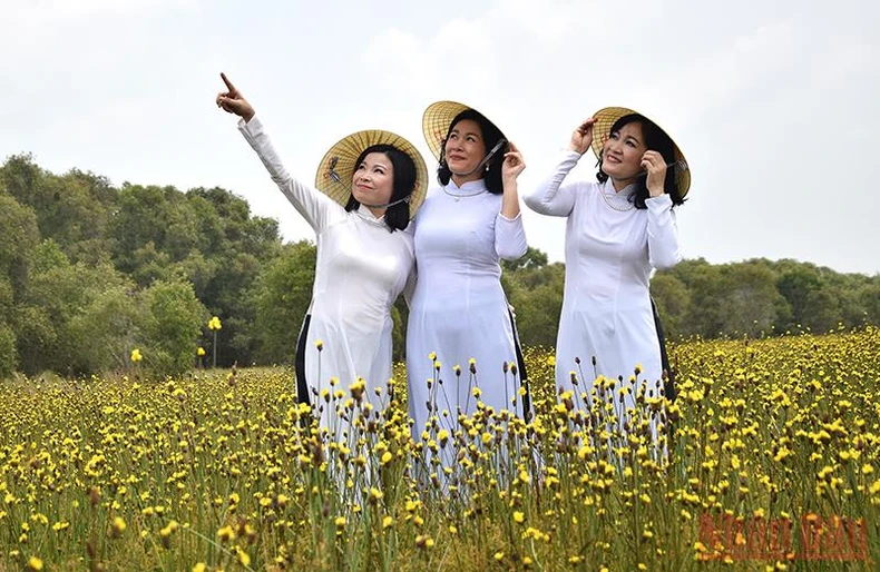 Đánh thức Tràm Chim -0
